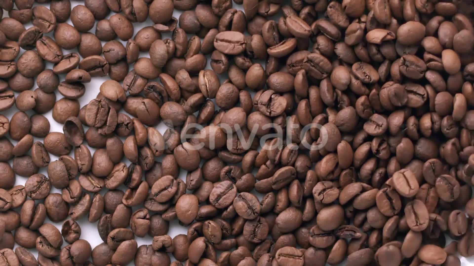 New Gourmet Coffee Videohive 25692222 After Effects Image 1