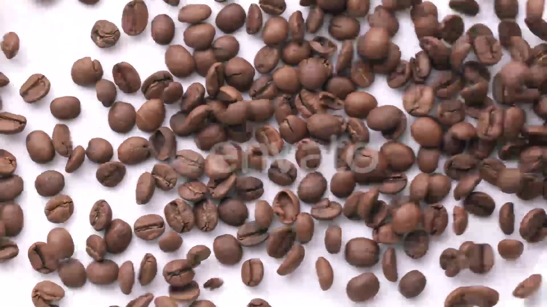 New Gourmet Coffee Videohive 25692222 After Effects Image 2