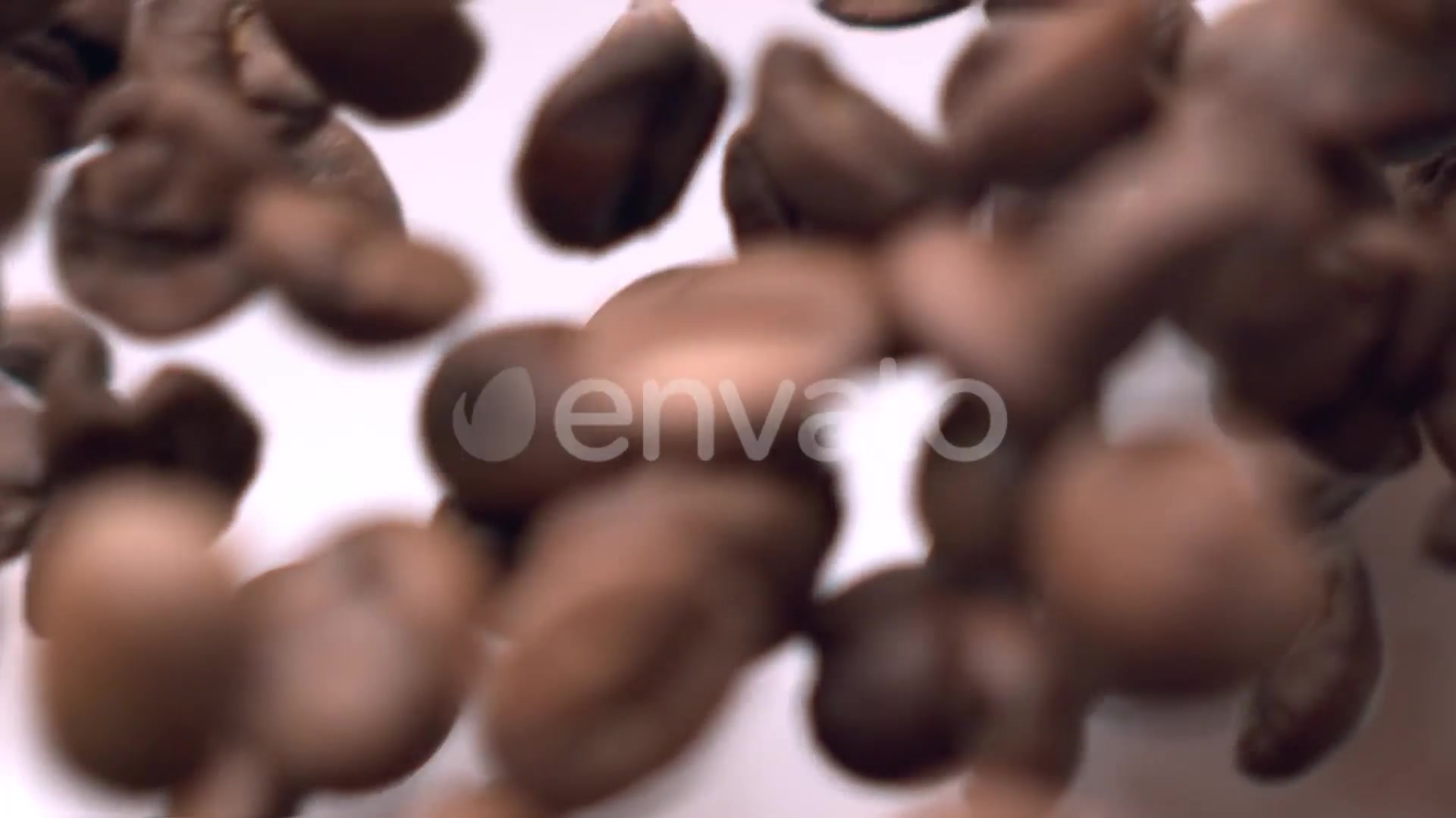 New Gourmet Coffee Videohive 25692222 After Effects Image 4