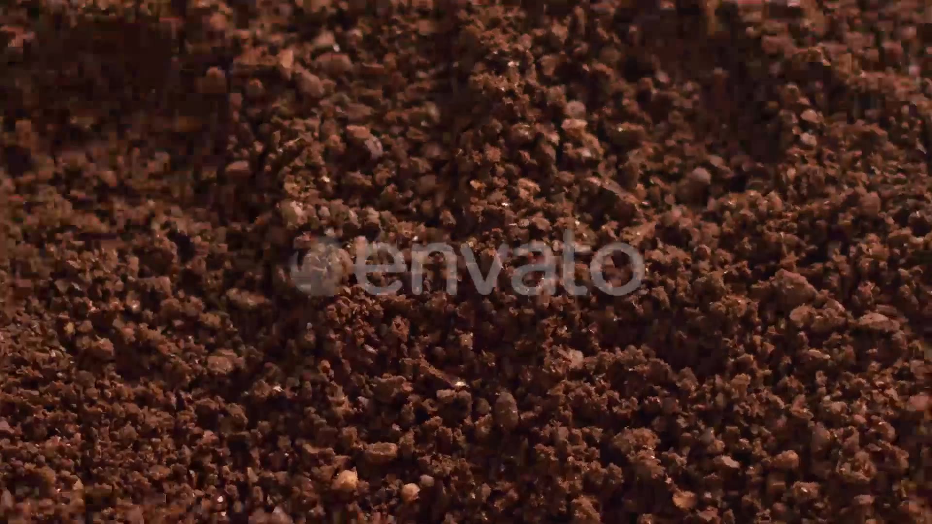 New Gourmet Coffee Videohive 25692222 After Effects Image 6