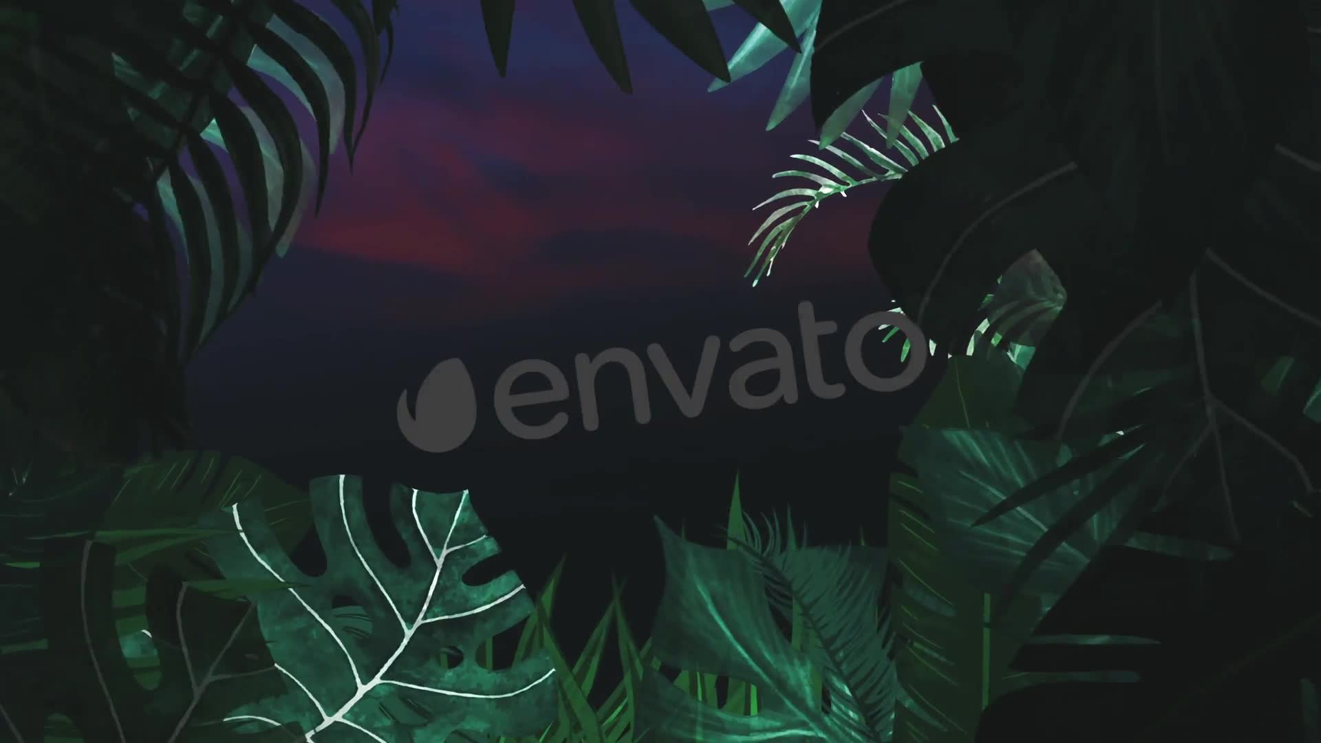 Night Tropical Logo Videohive 25664161 After Effects Image 2