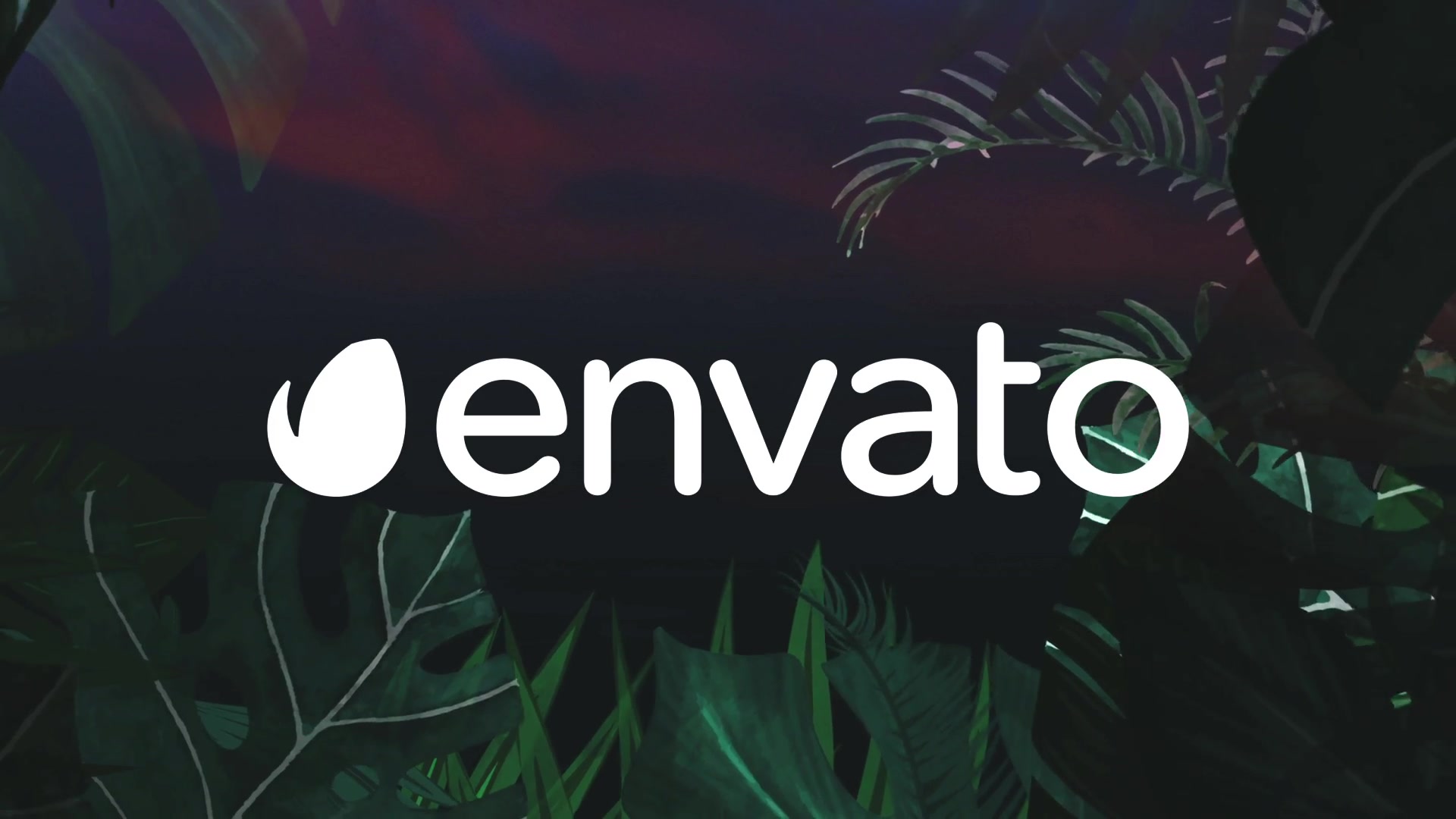 Night Tropical Logo Videohive 25664161 After Effects Image 4