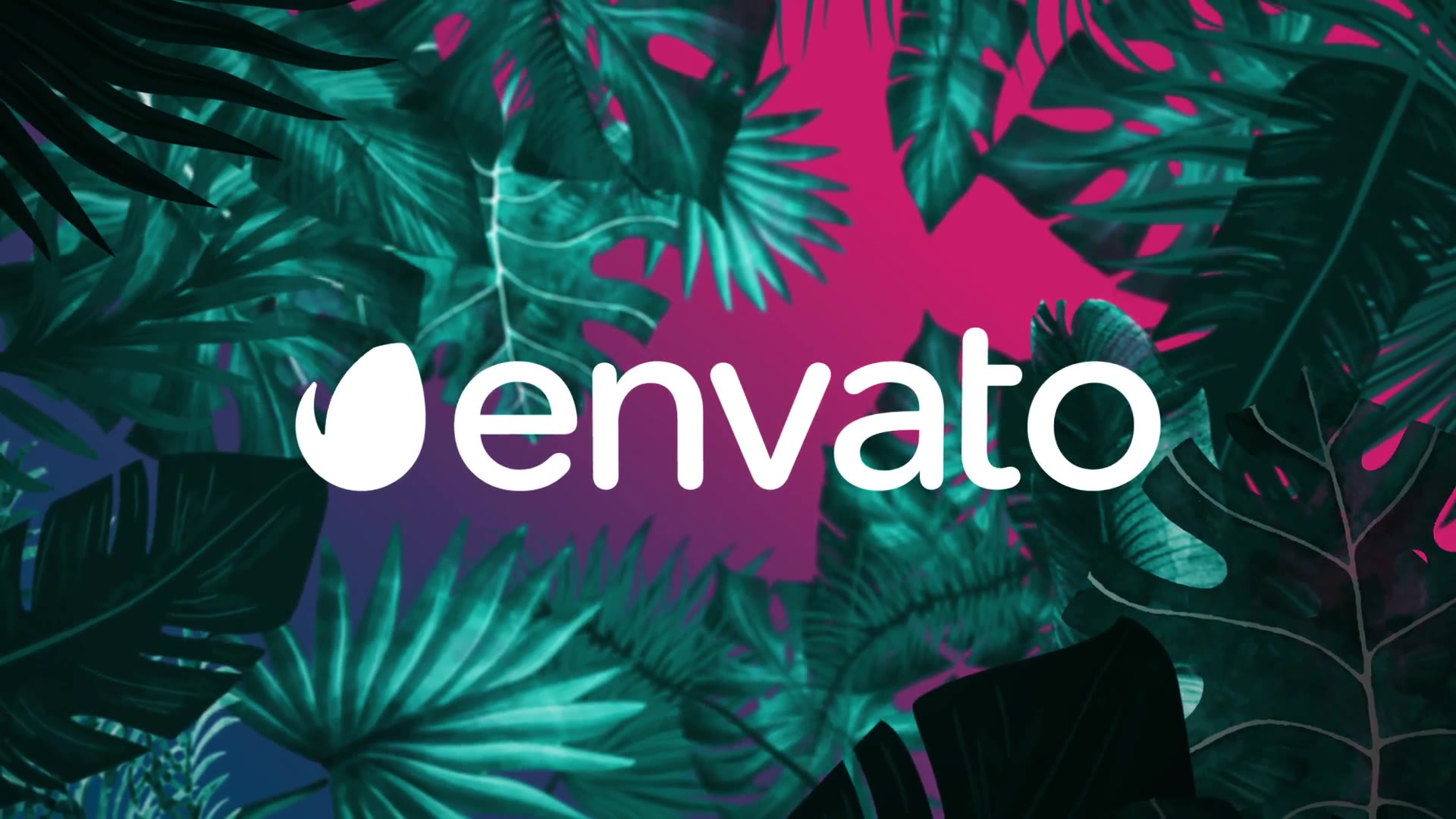 Night Tropical Logo Videohive 25664161 After Effects Image 6