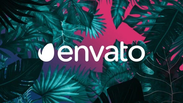 Night Tropical Logo - 25664161 Videohive Download