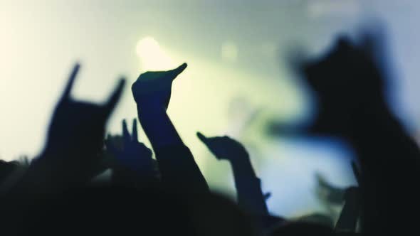 Nightlife People Crowd At Concert Or Club Party  - Download Videohive 19115378