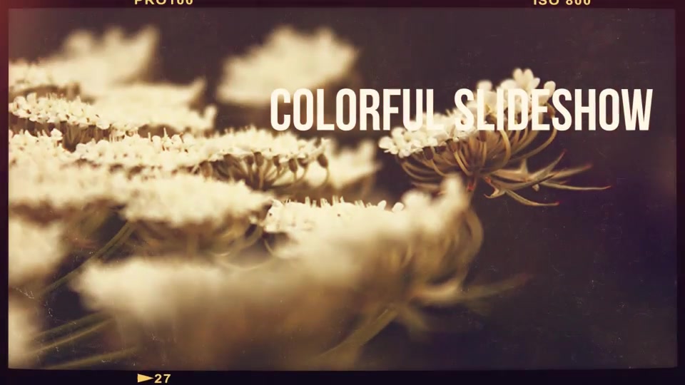 Nostalgic Memoirs Slideshow Videohive 13194571 After Effects Image 10