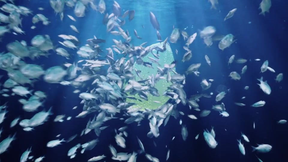 Ocean/ Blue Sea Eco Fish Logo Videohive 31351639 After Effects Image 4