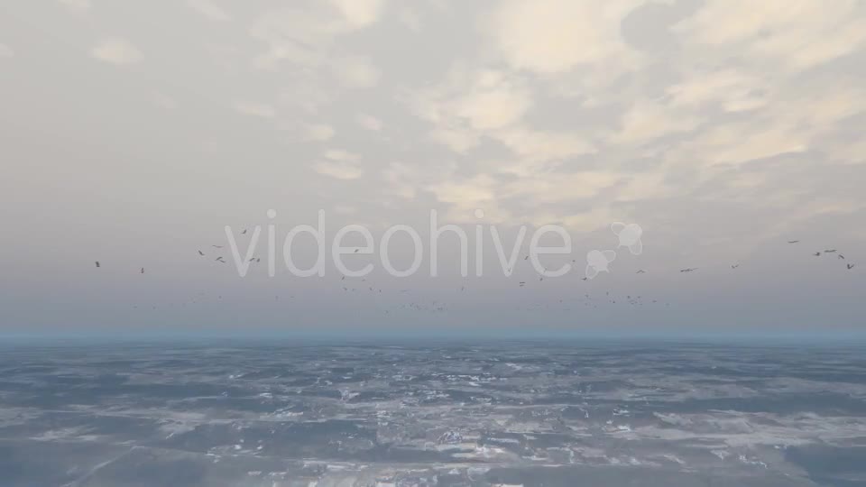 Ocean With Seagulls - Download Videohive 20630756