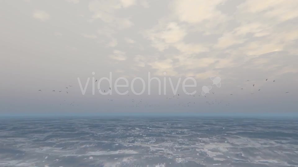Ocean With Seagulls - Download Videohive 20630756