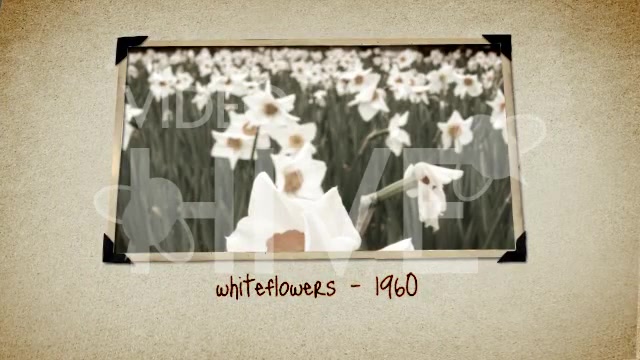 Old Photo Album - Download Videohive 38429