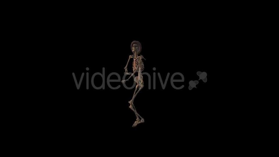 Old Pop Music And Skeleton - Download Videohive 19204307
