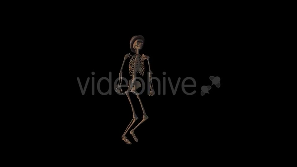 Old Pop Music And Skeleton - Download Videohive 19204307