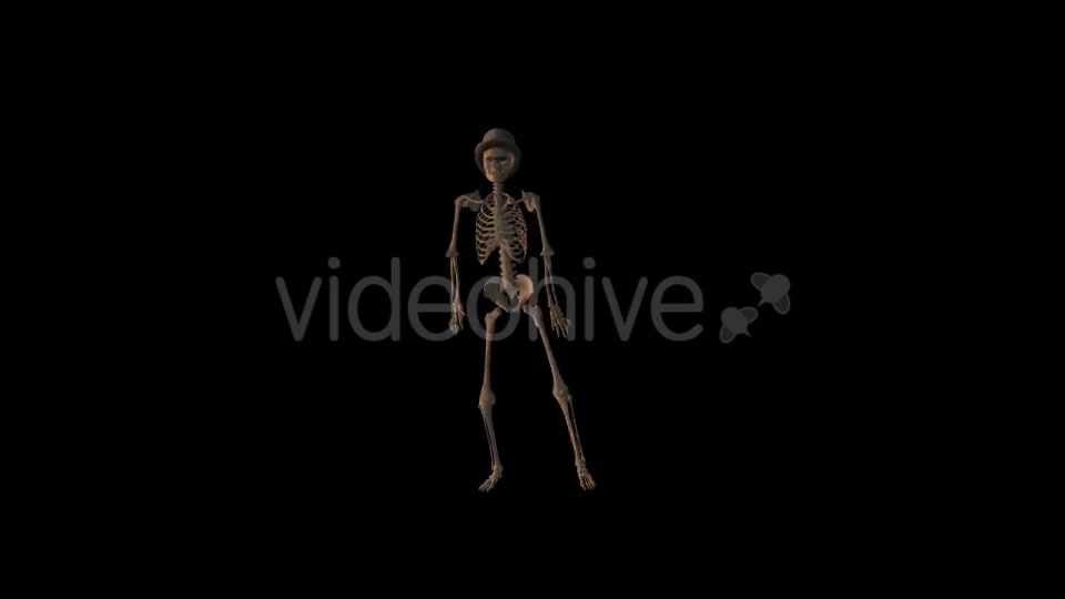 Old Pop Music And Skeleton - Download Videohive 19204307