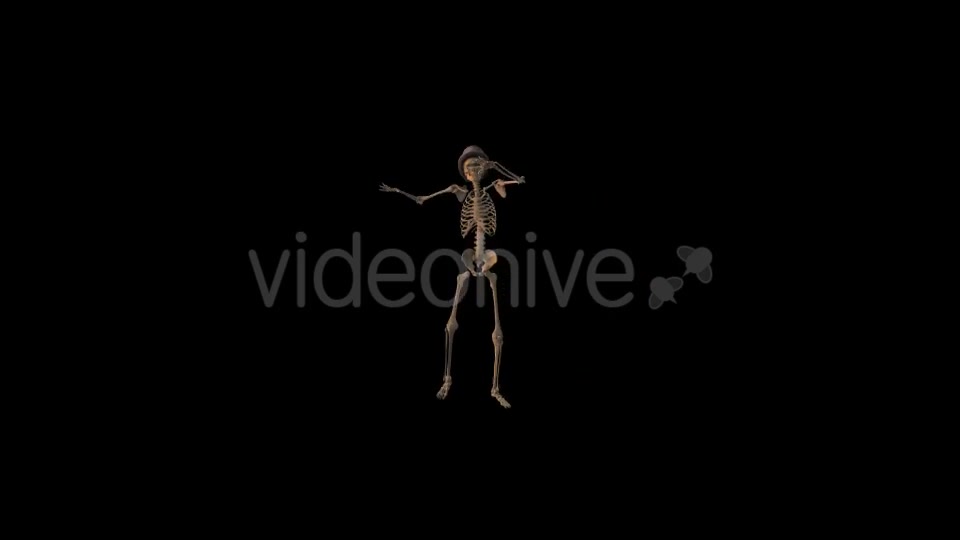 Old Pop Music And Skeleton - Download Videohive 19204307