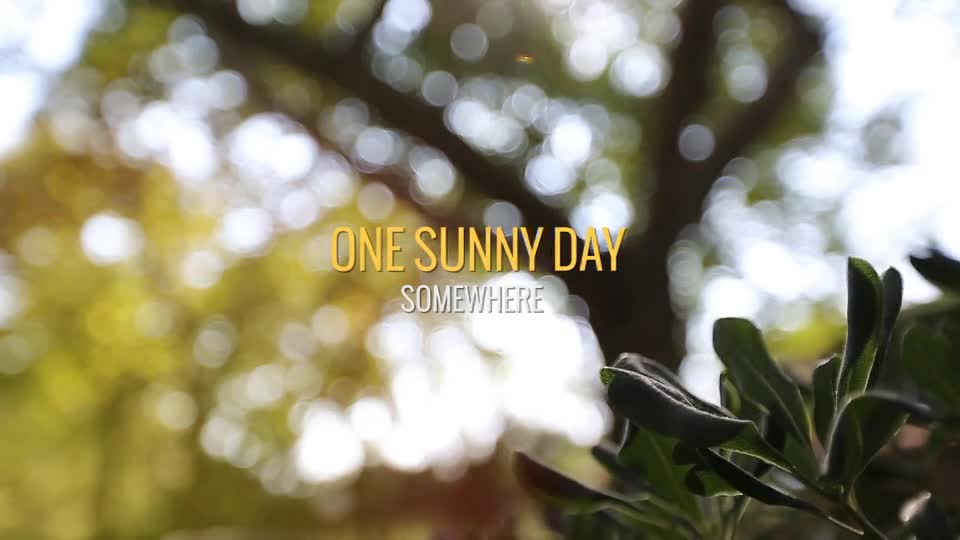 One Summer Day - Download Videohive 8041948