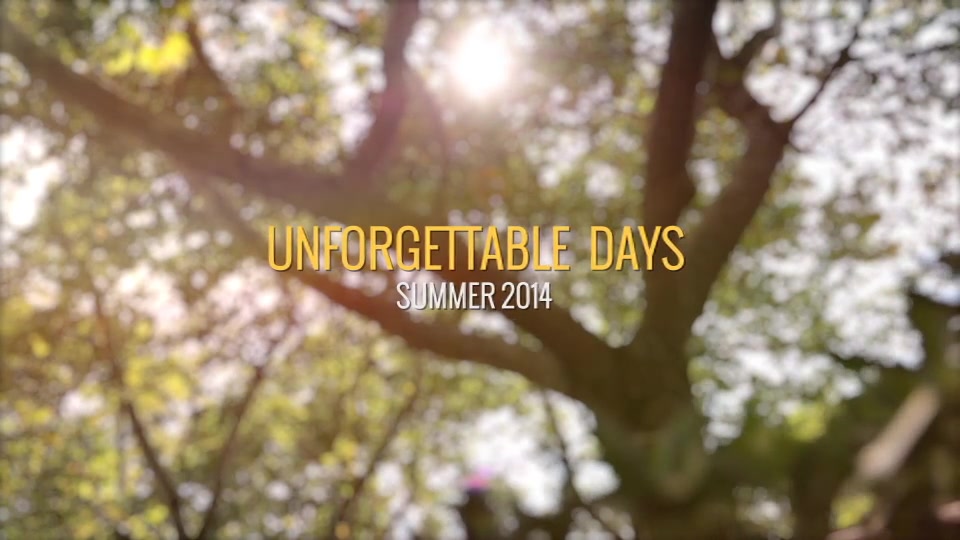 One Summer Day - Download Videohive 8041948