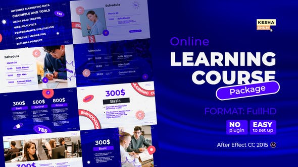 Online learning course Package - 31455264 Download Videohive