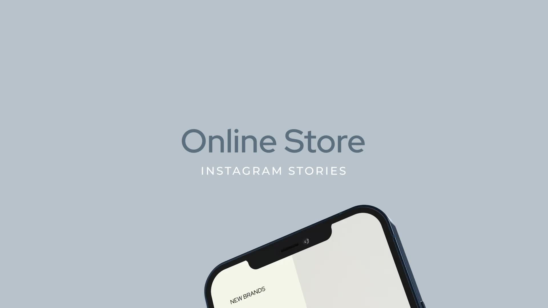 Online Shopping Store Instagram Stories Videohive 33632413 After Effects Image 1