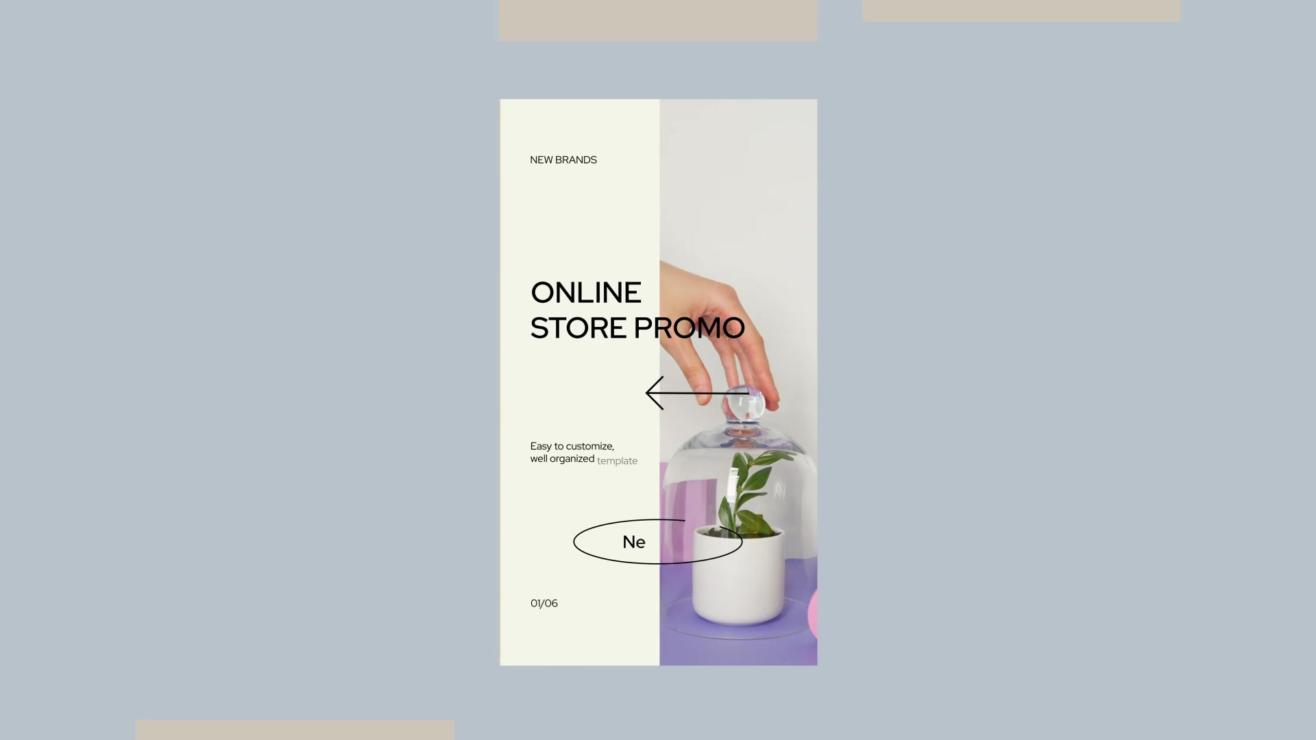 Online Shopping Store Instagram Stories Videohive 33632413 After Effects Image 3