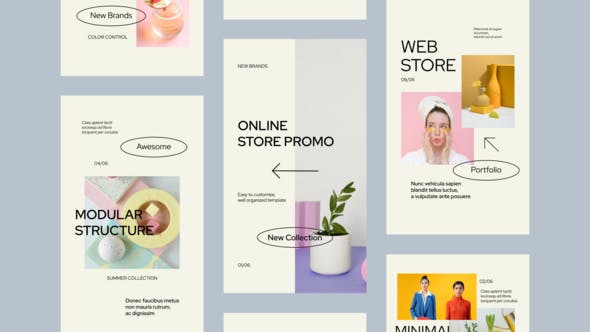 Online Shopping Store Instagram Stories - Download 33632413 Videohive