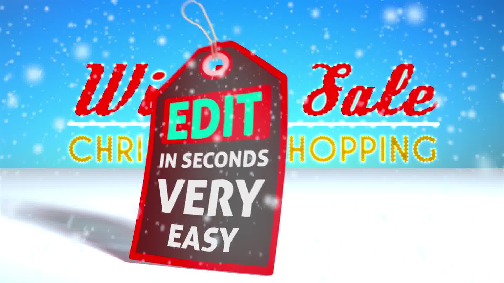 Online Shopping Store Promo Videohive 27540407 After Effects Image 12