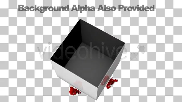 Opening a Wrapped Gift with Alpha Channel Box - Download Videohive 2521375