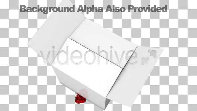 Opening a Wrapped Gift with Alpha Channel Fold Videohive 2517176 Motion Graphics Image 12