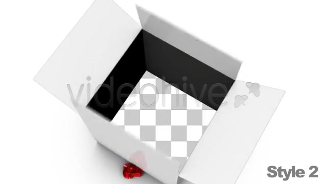 Opening a Wrapped Gift with Alpha Channel Fold Videohive 2517176 Motion Graphics Image 6