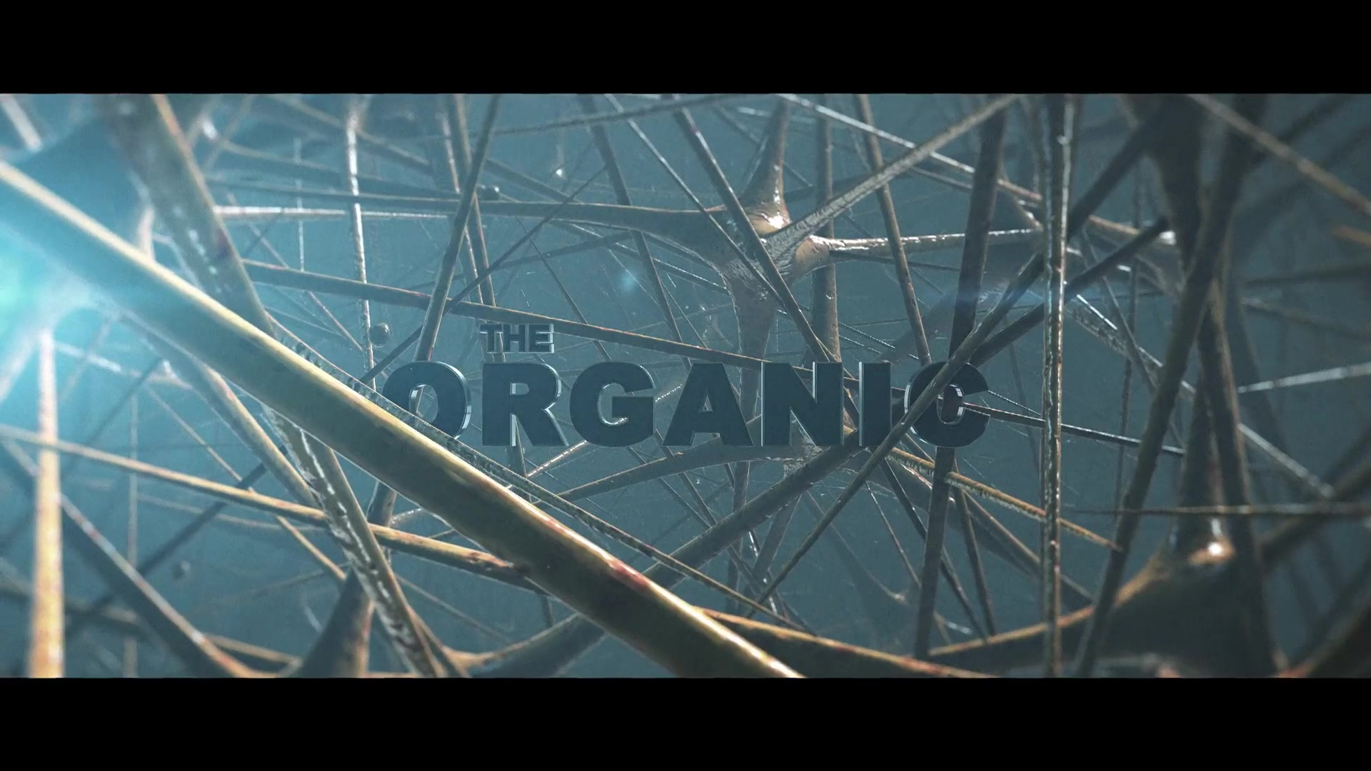 Organic Element 3D Title Sequence Videohive 30892492 After Effects Image 13