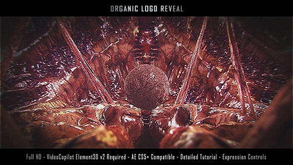 Organic Logo Reveal - Videohive Download 19976013
