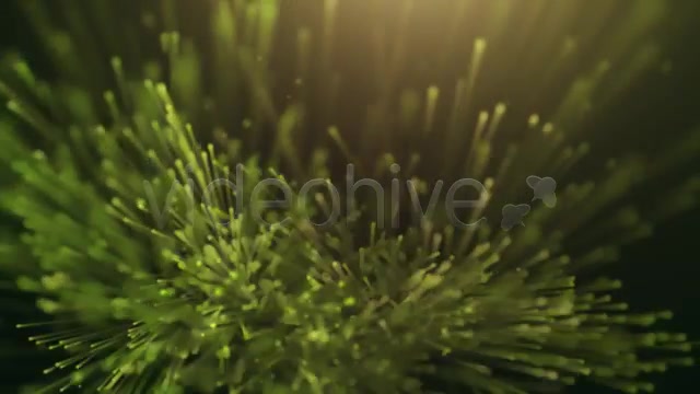 Organic Particles Logo Reveal II Videohive 4279358 After Effects Image 3
