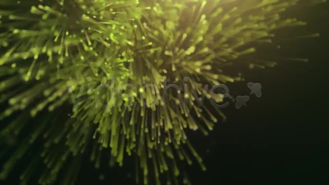 Organic Particles Logo Reveal II Videohive 4279358 After Effects Image 4