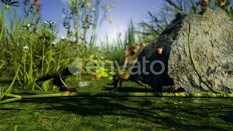 Organic Product Intro Videohive 23664850 After Effects Image 3
