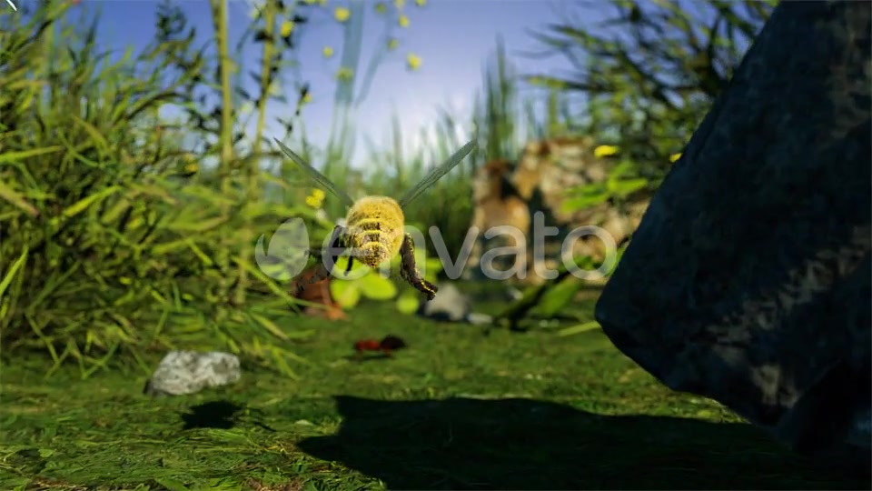 Organic Product Intro Videohive 23664850 After Effects Image 4
