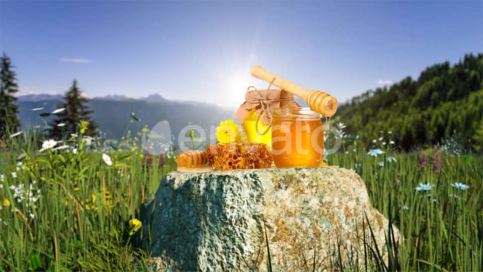 Organic Product Intro Videohive 23664850 After Effects Image 7