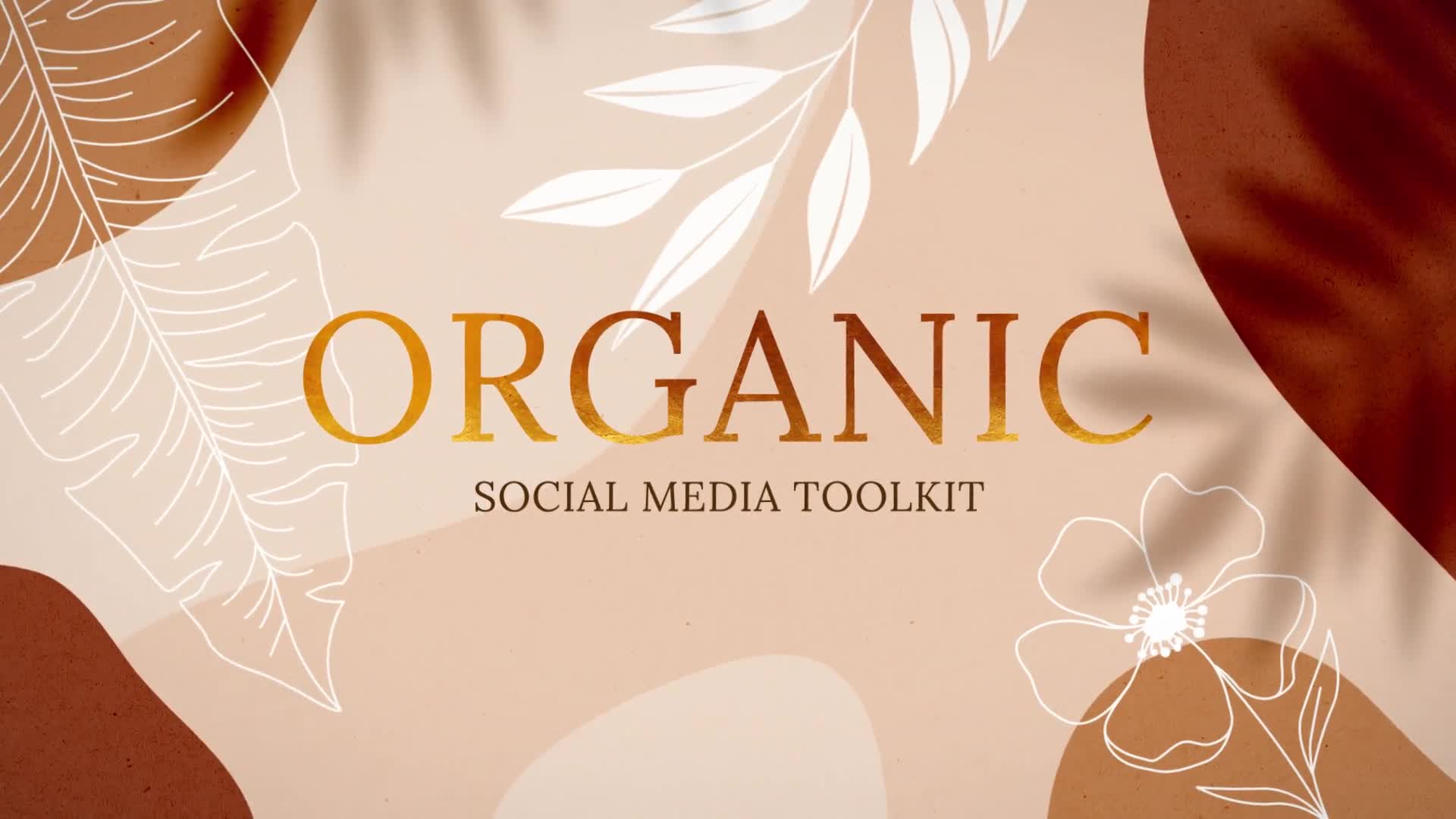 Organic Social Media Kit Videohive 30255928 After Effects Image 1