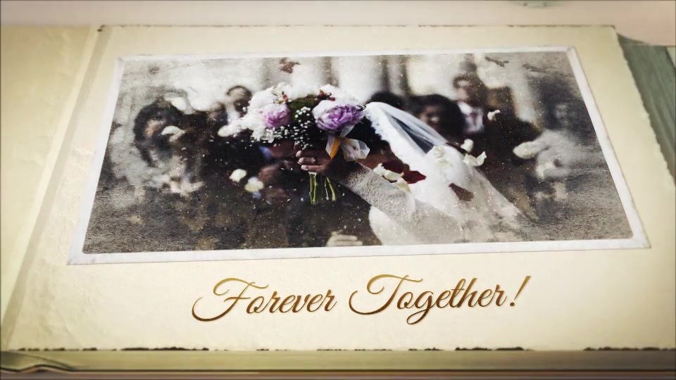 Our Wedding Story - Download Videohive 23337575