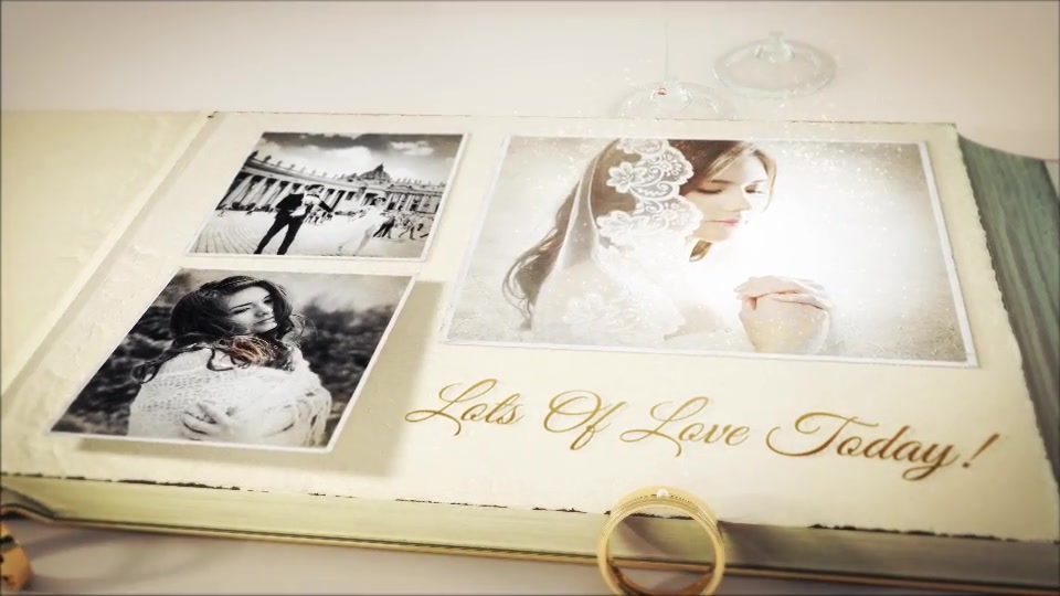 Our Wedding Story - Download Videohive 23337575