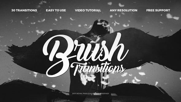Paint Brush Transitions - 21254214 Download Videohive