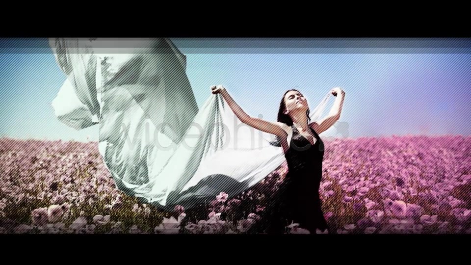 Paint Your Dreams - Download Videohive 1770815