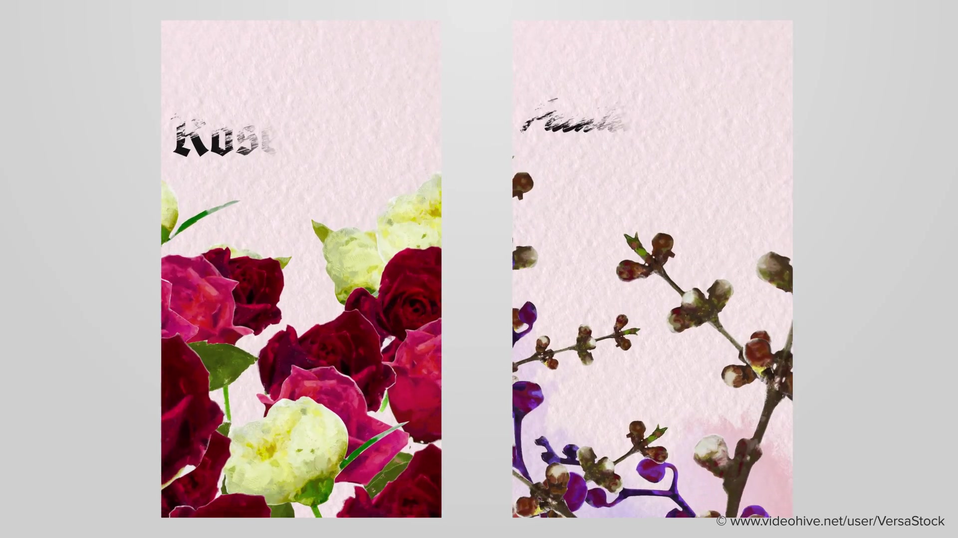 Painted Blooming Flower Stories Videohive 35053209 After Effects Image 11