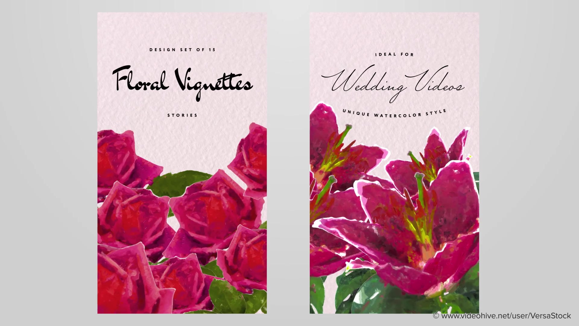 Painted Blooming Flower Stories Videohive 35053209 After Effects Image 5