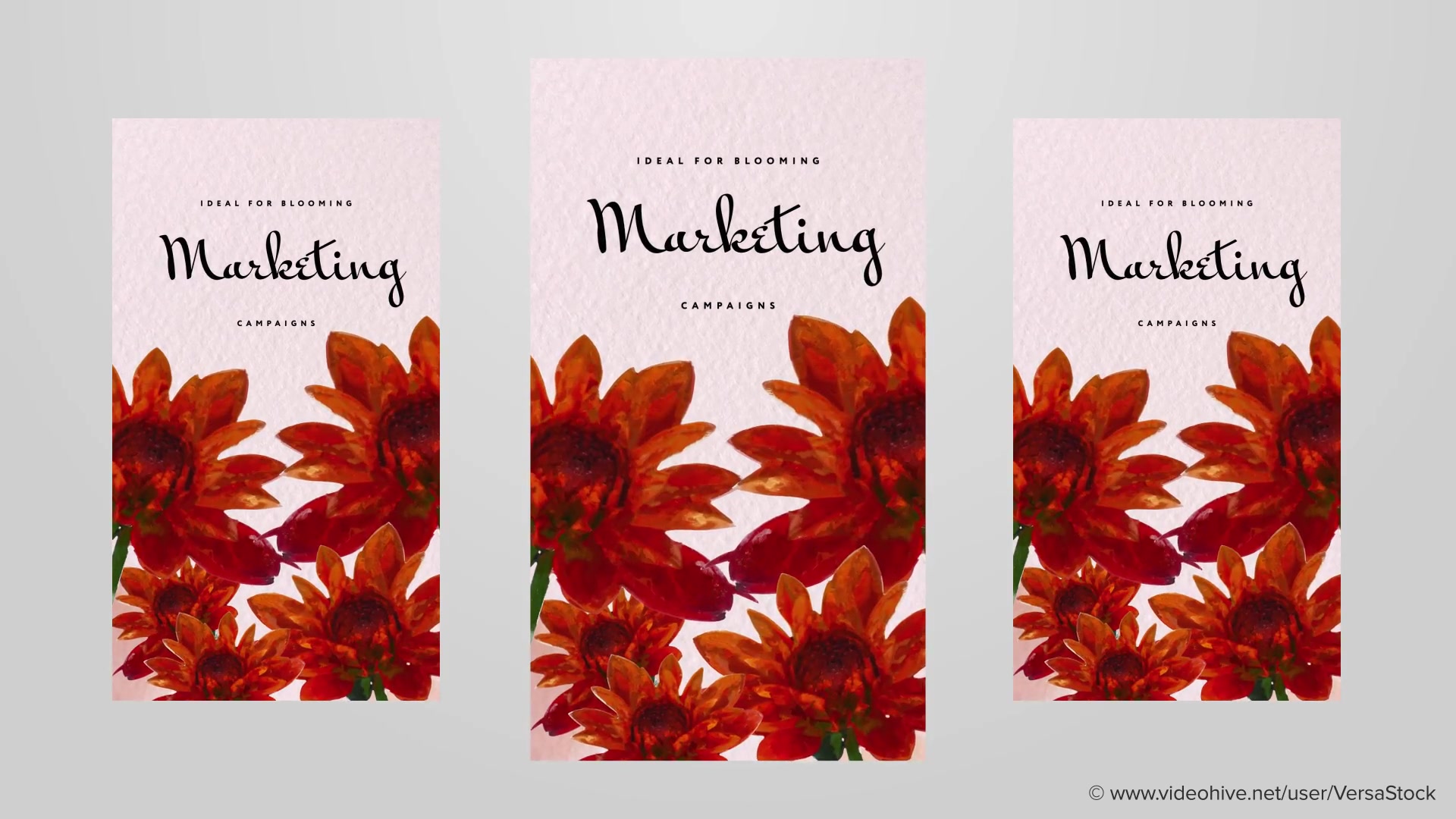 Painted Blooming Flower Stories Videohive 35053209 After Effects Image 7
