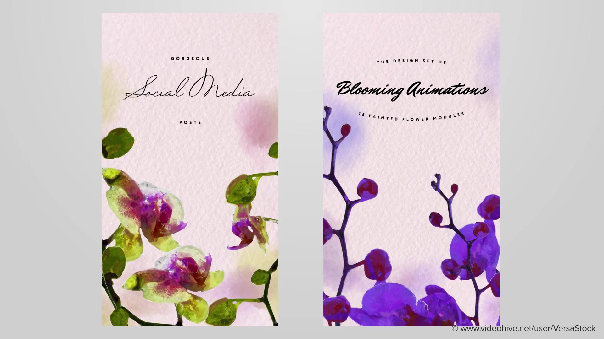 Painted Blooming Flower Stories Videohive 35053209 After Effects Image 8
