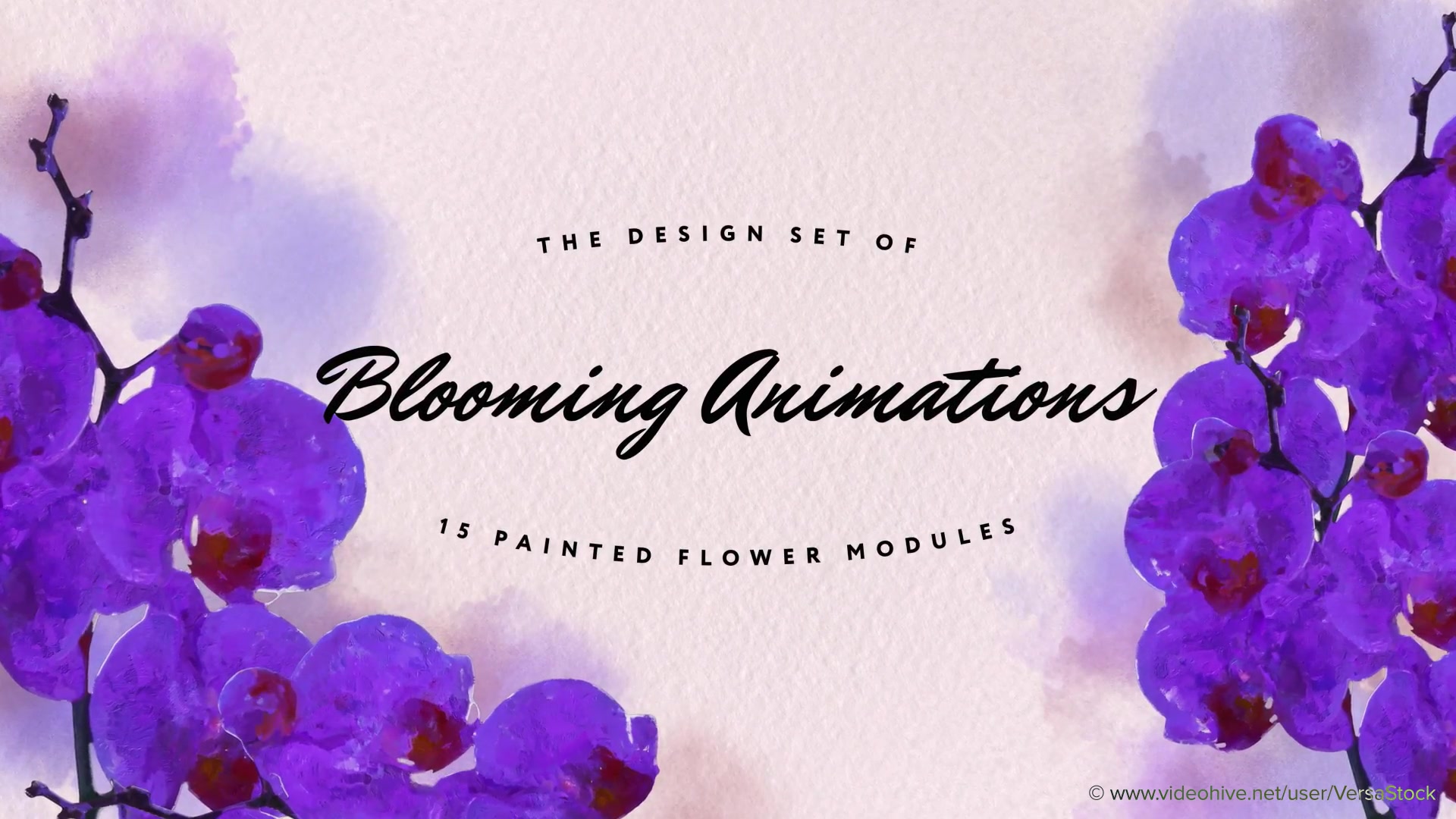 Painted Floral Vignettes Videohive 34968346 After Effects Image 12