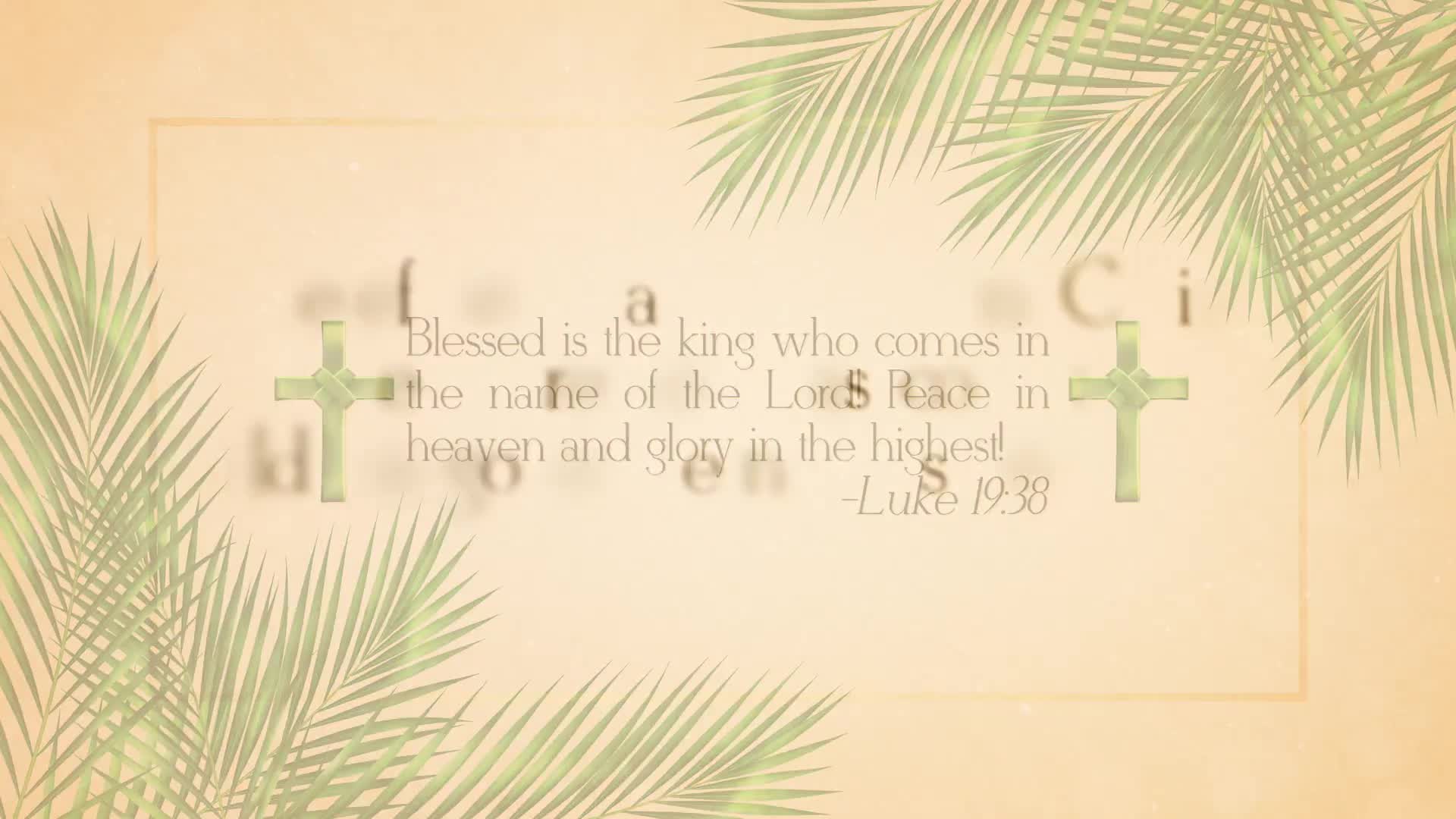 Palm Sunday Opener Videohive 36928358 After Effects Image 2