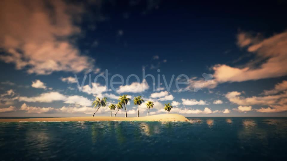 Palms And The Beach Noon - Download Videohive 16247651