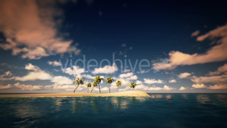 Palms And The Beach Noon - Download Videohive 16247651