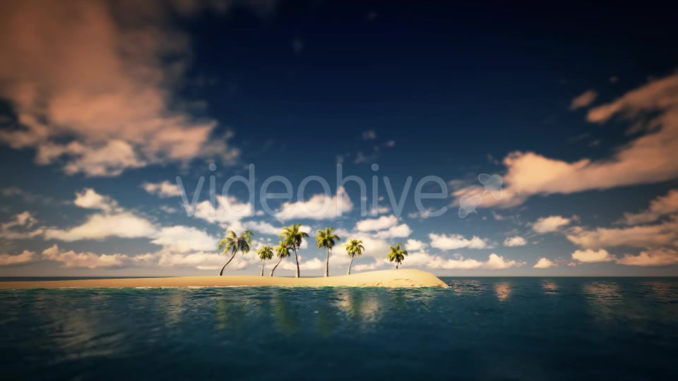 Palms And The Beach Noon - Download Videohive 16247651