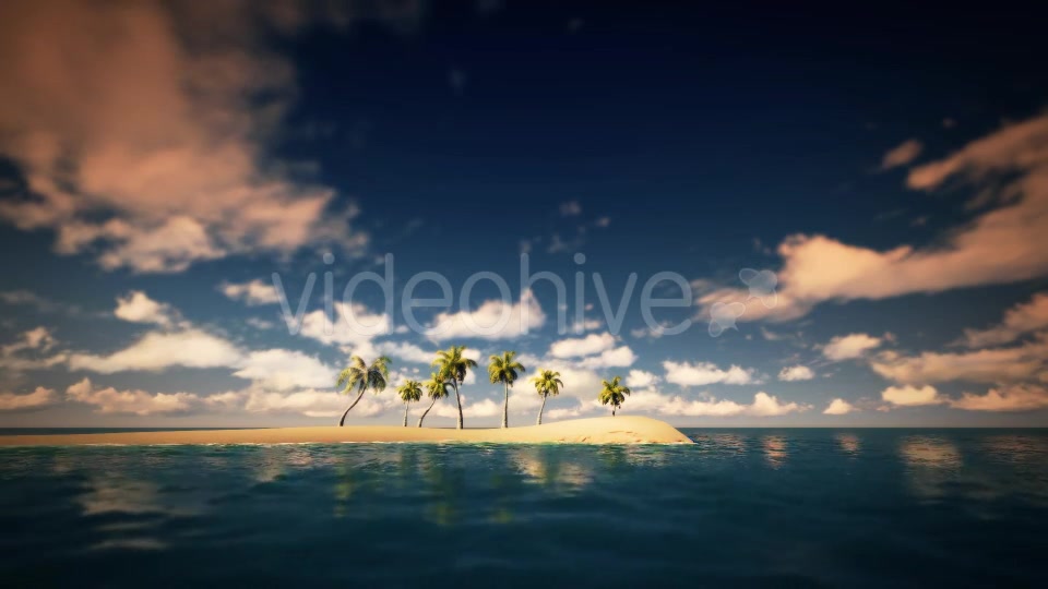 Palms And The Beach Noon - Download Videohive 16247651